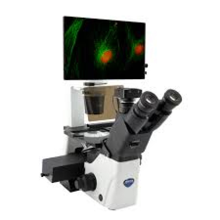 Флуоресцентный инвертированный микроскоп OPTIKA IM-300LD2